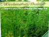 pro_DSCF1060.JPG