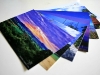 pic_card1