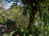 phuket-6326
