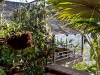 phuket-6333