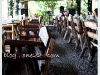 ayud09_IMG_0005.jpg