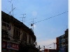 ayud09_IMG_0104.jpg