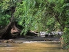 baanmai_MG_8102