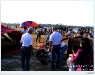 balloon_pattayaDSCF5352.JPG