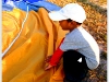balloon_pattayaDSCF5404.JPG