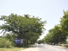 bangkra__MG_4261.JPG