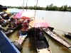 bangkra__MG_4278.JPG