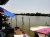 bangkra__MG_4318.JPG