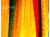 E6134436-14.jpg