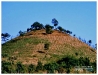 E6134436-15.jpg