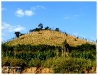 E6134436-16.jpg