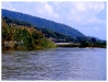E6134436-2.jpg