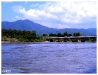 E6134436-5.jpg