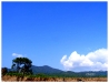 E6134436-7.jpg