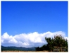 E6134436-8.jpg