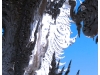 DSCF1001_resize.JPG