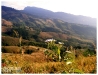 DSCF1045_resize.JPG