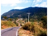 DSCF1053_resize.JPG