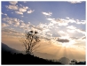 DSCF1106_resize.JPG