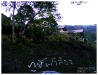 E6135591-47.jpg