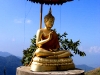 PHUCHEEFAH_DSCF1434_resize.JPG