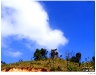phucheefahdscf1408_resize.jpg