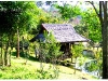 chiangraiDSCF2124.JPG
