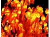 chiangraiDSCF2345.JPG