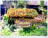 doi_DSCF0233.JPG
