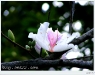 doi_DSCF0253.JPG