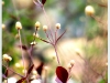doi_DSCF0268.JPG