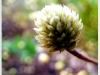 doi_DSCF0277.JPG