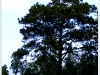 doi_DSCF0319.JPG