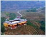 doi_DSCF0671.JPG