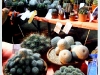 doi_DSCF0869.JPG