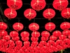 china_newyear_MG_0754