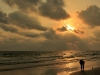 chevaree_MG_5582