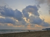 chevaree_MG_5636