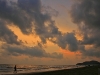 chevaree_MG_5719