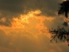 chivaree_MG_5564