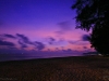 chivaree_MG_5748
