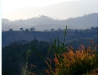 doi_DSCF0129.JPG