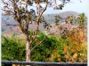 doi_DSCF0736.JPG