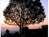 doi_DSCF9978.JPG