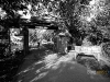 honeymoon_MG_2742