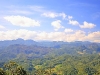 pai_MG_2966