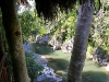 pai_MG_2982