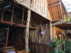 pai_MG_2985