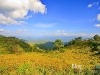 pai_MG_3011