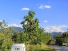 pai_MG_3029